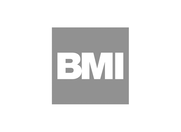 Bmi-group